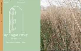 Opengateway Therapy