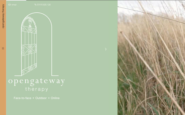 example website screenshot