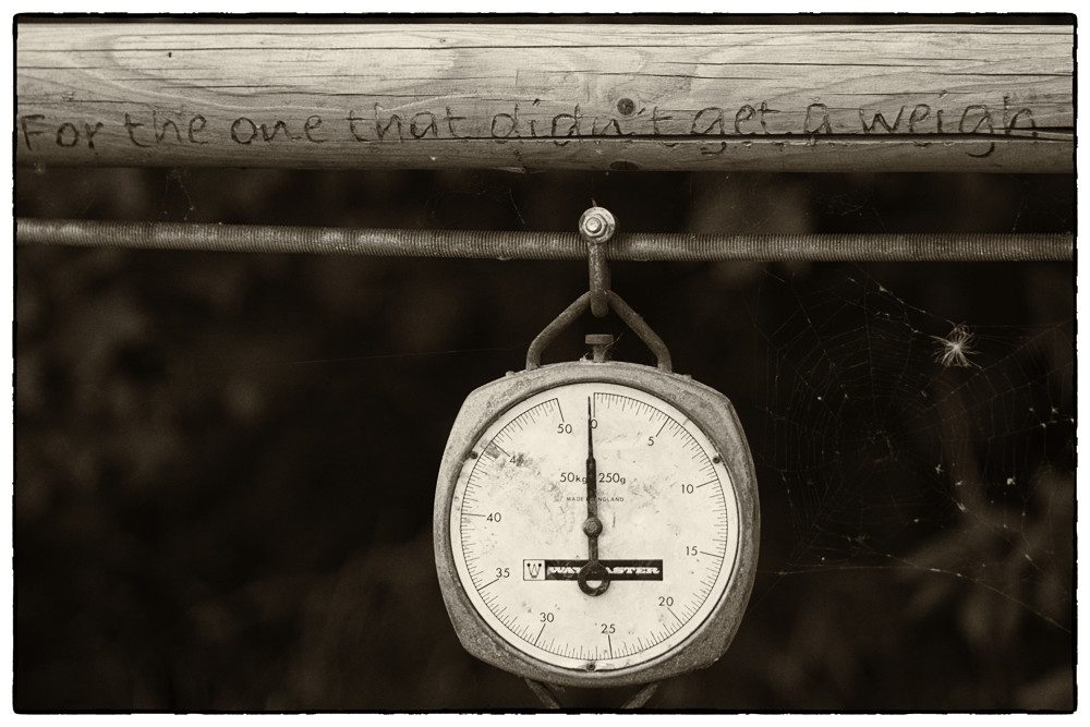 weigh scales bw photo